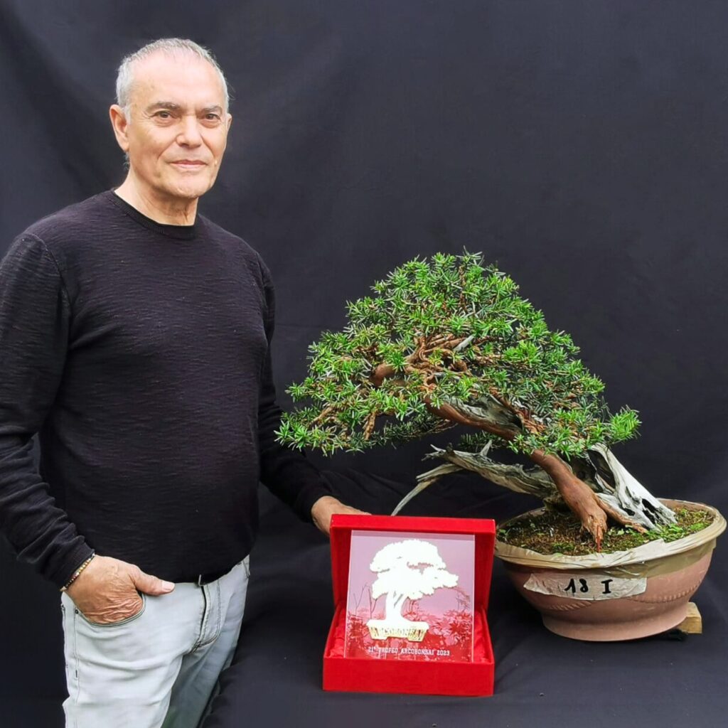 Il maestro Gaetano Settembrini con il primo premio ARCOBONSAI e la pianta lavorata durante la competizione