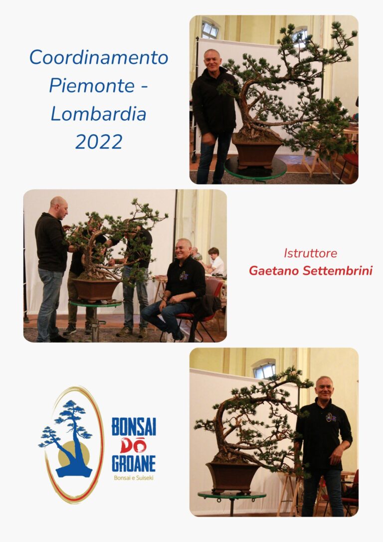 2022 Coordinamento Piemonte Lombardia